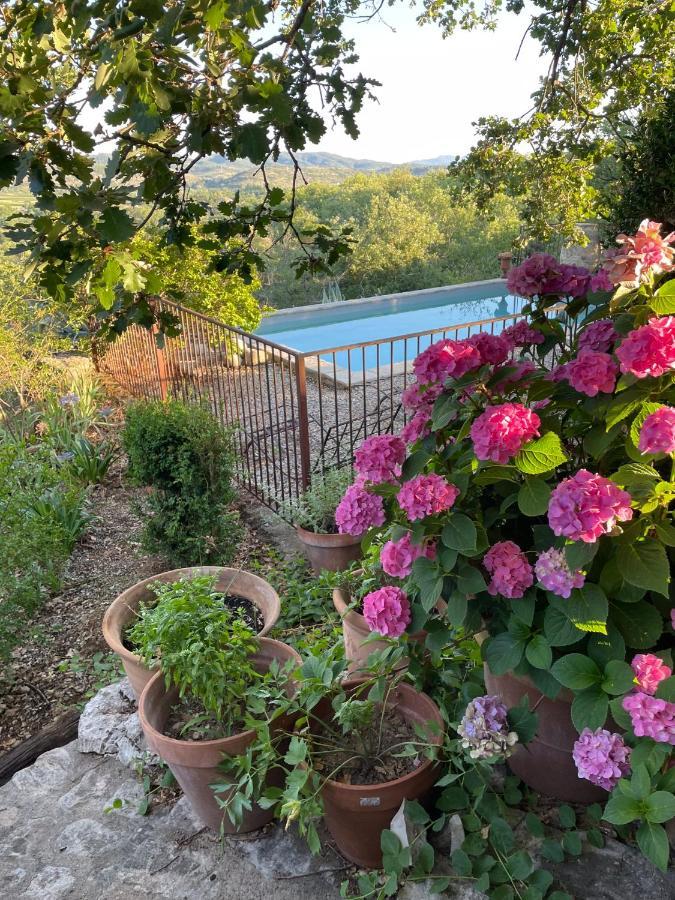 Bed and Breakfast Le Petit Mas Вогюэ Экстерьер фото